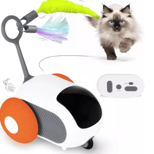 PawBot (Raton Automatico + Control remoto, jueguete Mascotas)